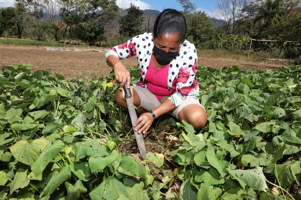 -Empoderamiento femenino en áreas rurales – 